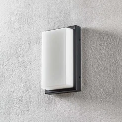 LCD Væglampe Med Sensor > Udendørs LED-væglampe Babett, stål, glas, sensor