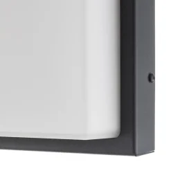 LCD Væglampe Med Sensor > Udendørs LED-væglampe Babett, stål, glas, sensor
