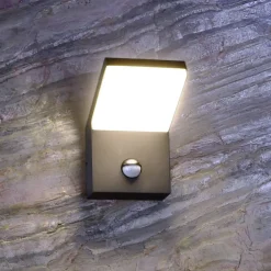 Deko-Light Væglampe Med Sensor|Væglamper > Udendørs LED-væglampe med sensor Tucanae, grå, højde 22 cm, IP54