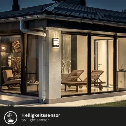 Briloner Væglampe Med Sensor|Væglamper > Udendørs LED-væglampe 3795015, sort, sensor, IP44