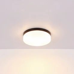 Globo Terrassebelysning|Udendørs Loftlamper > Udendørs loftslampe Vranos, mat sort, Ø 24 cm, aluminium