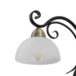 Luminex Væglamper > Væglampe Flora, en glasskærm, sort/messing