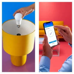 WiZ Dæmpbar Led-Pære|Led Pærer > A60 LED-pære mat WiFi E27 8,5W RGBW