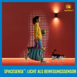 WiZ Dæmpbar Led-Pære|Led Pærer > A60 LED-pære mat WiFi E27 8,5W RGBW
