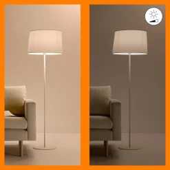WiZ Dæmpbar Led-Pære|Smarte Lyskilder > P45 LED-pære E27 4,9 W dråbeformet satineret RGBW