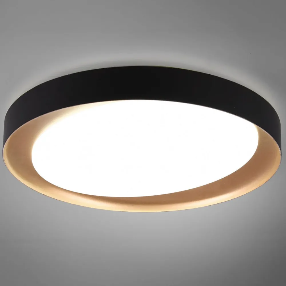 Reality Leuchten Loftlamper > Zeta LED-loftlampe, tunable white, sort/guld